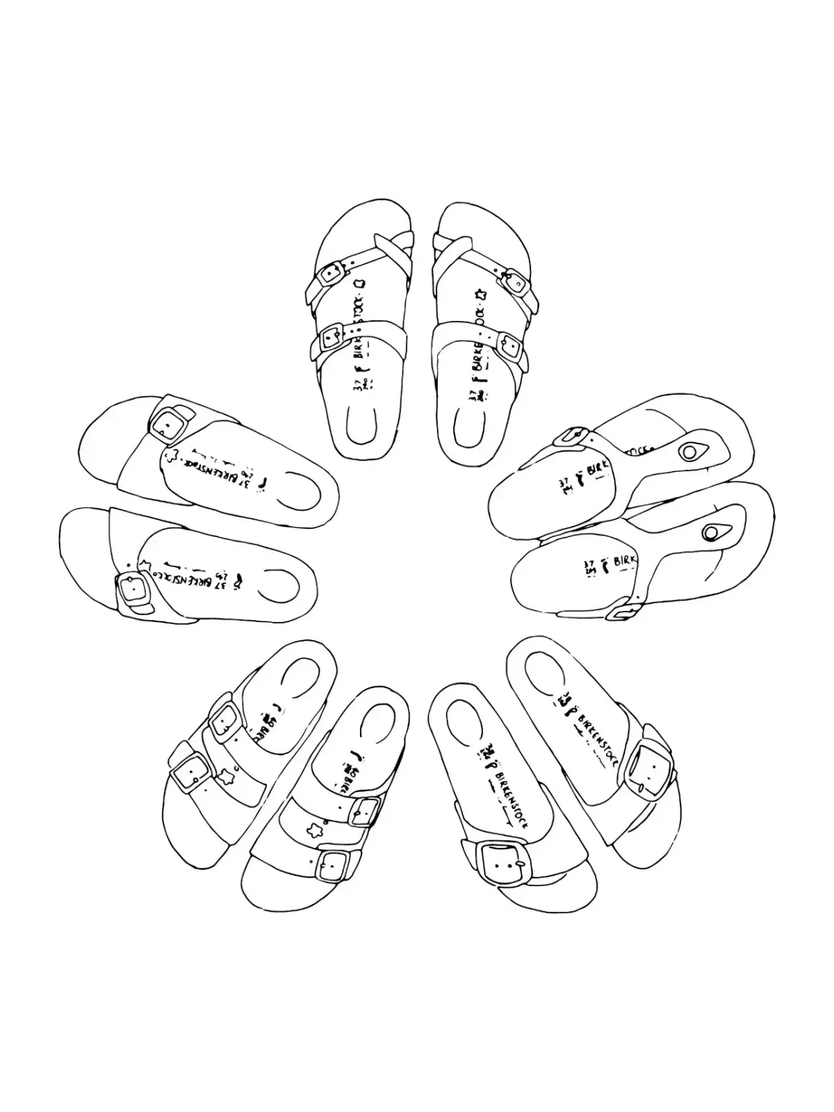 Acht Paar Birkenstock-Sandalen, im Kreis angeordnet und von oben gezeichnet